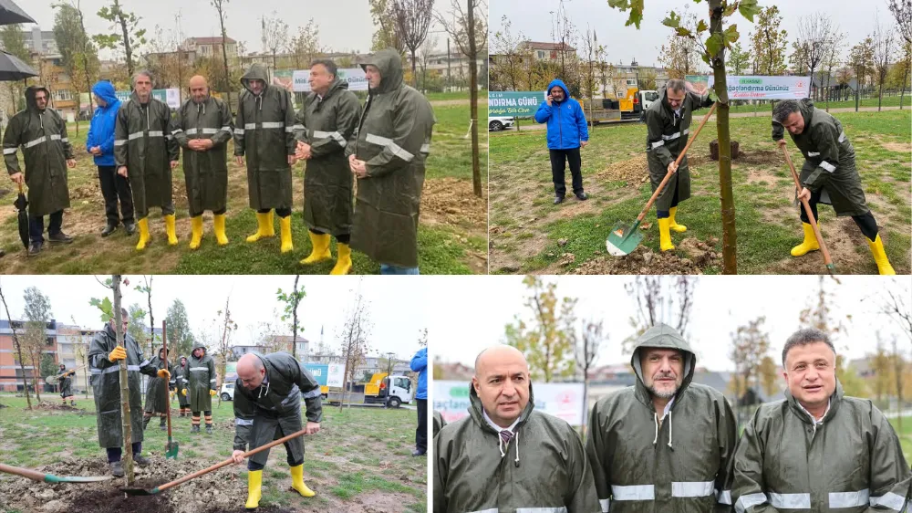  Bayrampaşa’da Milli Ağaçlandırma Günü: Geleceğe Nefes Oldular