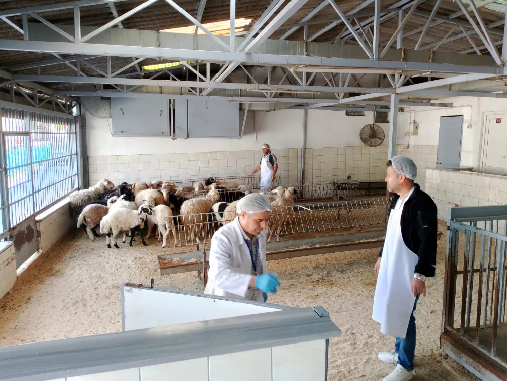 Bayrampaşa’da kurban satış ve kesim yerleri denetlendi.