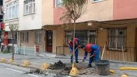KÂĞITHANE’DE YENİ DOĞAN HER BEBEK İÇİN BİR AĞAÇ DİKİLİYOR