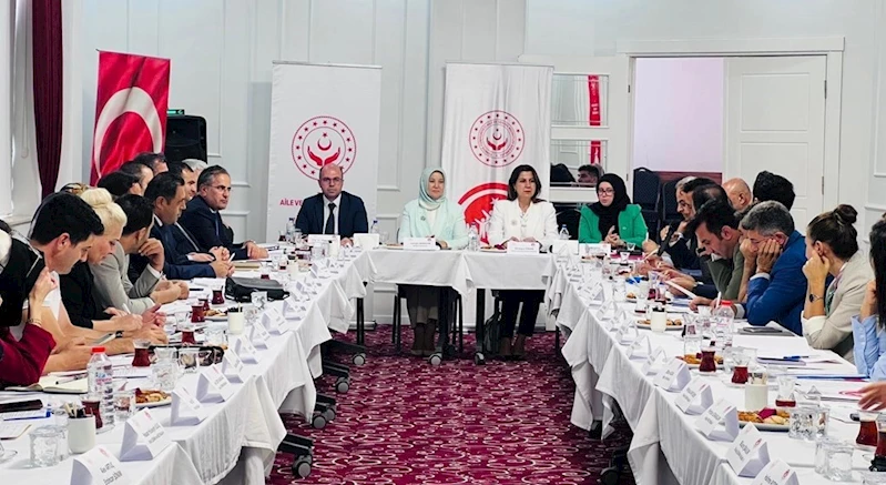 Kadına Yönelik Şiddetle Mücadele V. Ulusal Eylem Planı hazırlık çalışmalarında son aşamaya gelindi